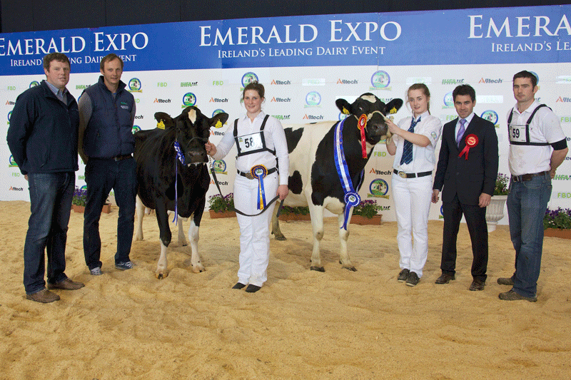 Pictured at Emerald Expo 2015, held at Punchestown on Saturday 11th April,  Michael O’Connor, Dovea Genetics (sponsor);  Pat Cleary owner of Reserve Pure Friesian Champion Blackisle Mabel 57, Ann Maree Manley (handler); Champion Pure Friesian was Blackisle Laura 68, owned by Bill O’Keeffe, Doireann Mulhall (handler);  Marc-Henri Guillaume, Show Judge; and Bill O’Keeffe.