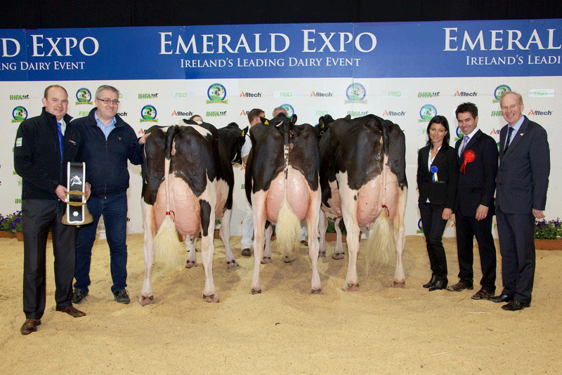 Cathal McCormack, Alltech, (sponsor), Christy Doherty, FBD (sponsor), Hallow Advent Twizzle 3 owned by Philip Jones,Honourable Mention Supreme Champion, Hallow Atwood Twizzle owned by Philip Jones, Reserve Supreme Champion, Laurelmore Duplex Impala owned by John Barrett & Sons, Supreme Champion with Cindy Demierre Guillaume, Ring assistant and wife of Judge Marc Henri Guillaume, Charles Gallagher, CE, IHFA