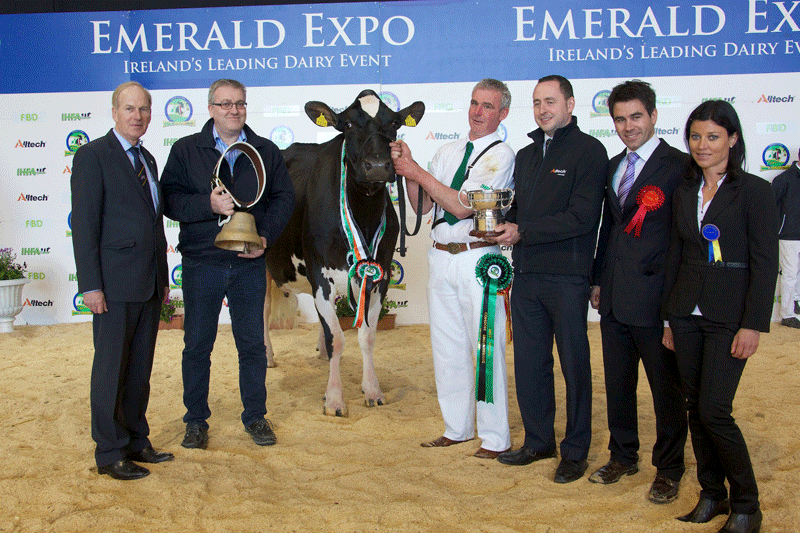Pictured at Emerald Expo 2015, held at Punchestown on Saturday 11th Charles Gallagher, CE, IHFA, Christy Doherty, FBD, (sponsor) Laurelmore Duplex Impala, Supreme & Exhibitor Bred Champion owned by John Barrett & Sons with Johnny Barrett on the halter, Fergal McAdam, Alltech (sponsor), Marc-Henri Guillaume, from Switzerland, Emerald Expo Judge with his wife Cindy Demierre Guillaume who acted as Ring Assistant on the day.